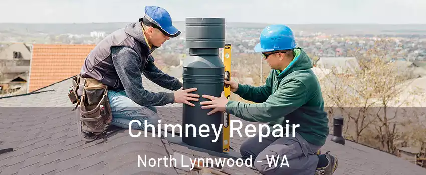  Chimney Repair North Lynnwood - WA