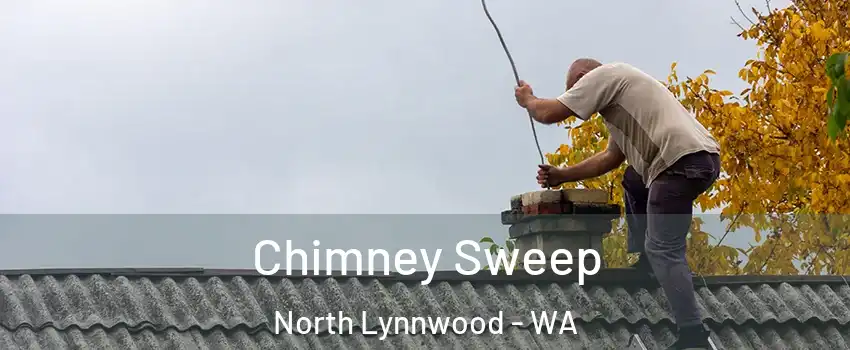  Chimney Sweep North Lynnwood - WA