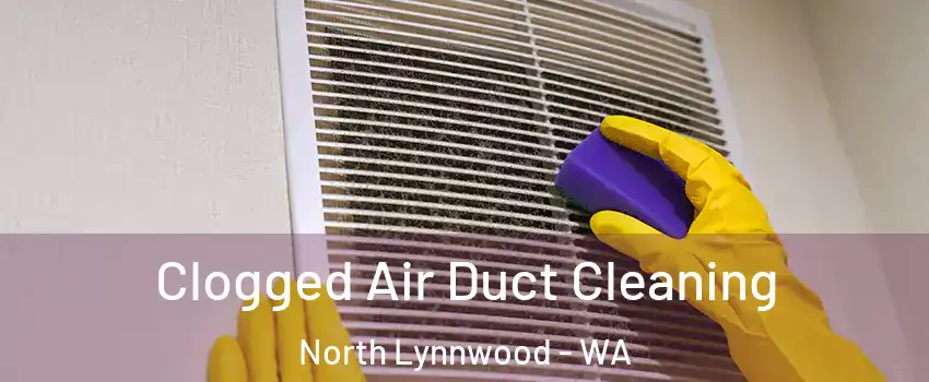  Clogged Air Duct Cleaning North Lynnwood - WA