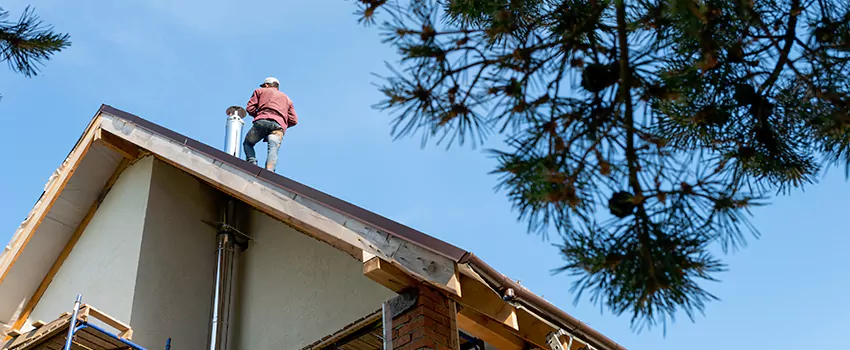 Birds Removal Contractors from Chimney in North Lynnwood, WA